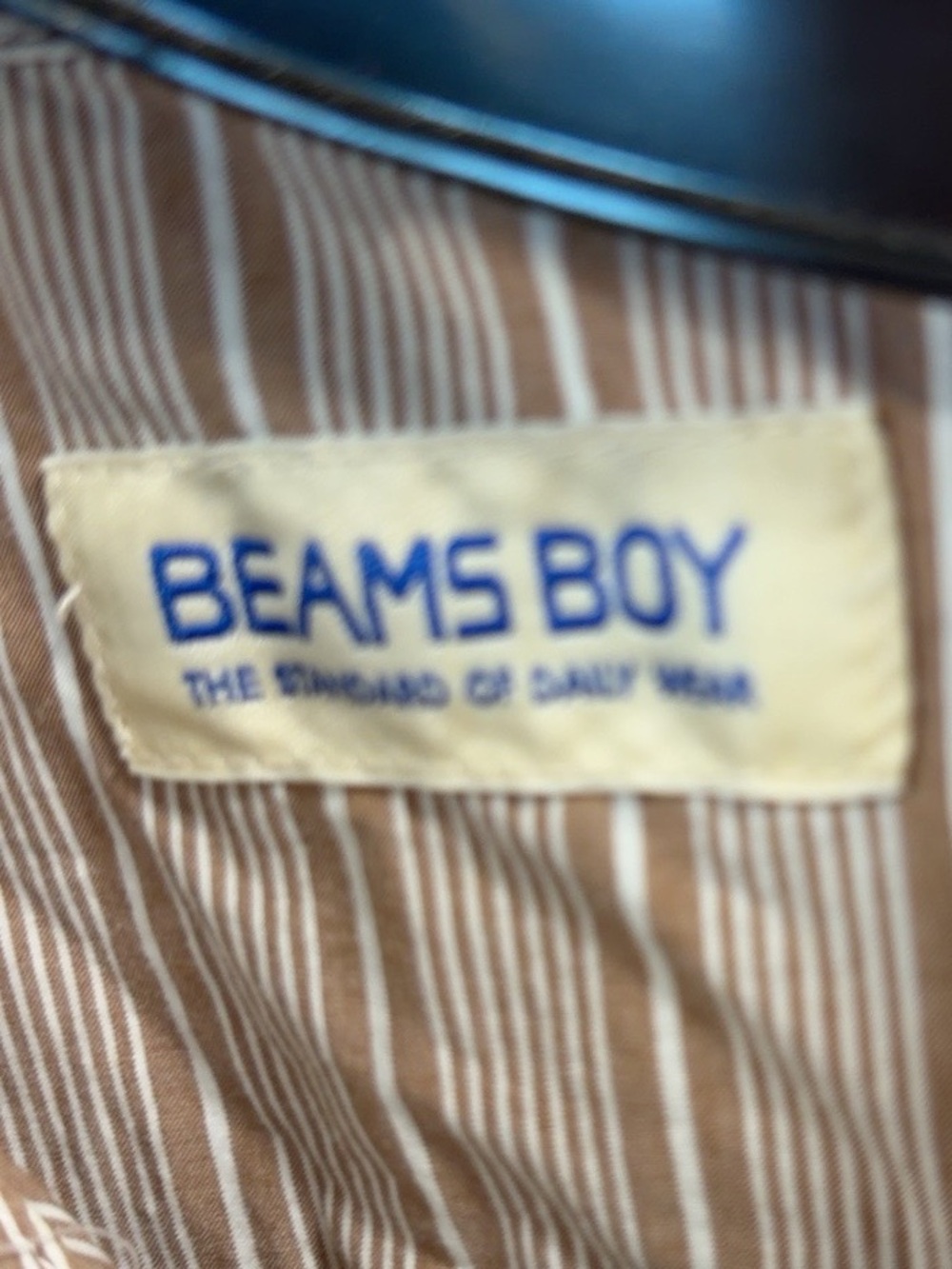 BEAMS BOY Women's Brown Striped short sleeve cropped half zip shirt